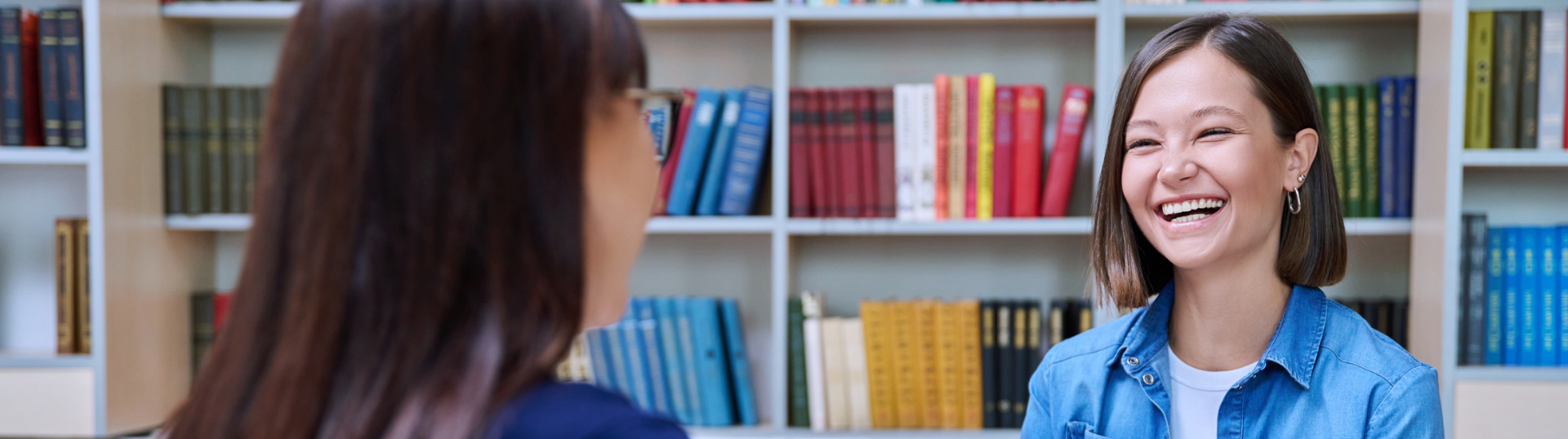 school counselor — School Counselor Resume Guide